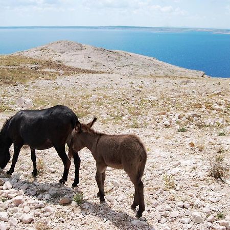 Galapagus Privat Beach & Boat Dock Lejlighed Metajna Eksteriør billede